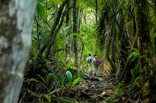 corcovado-national-park-puntarenas-costa-rica-hikers