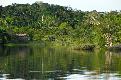 amazon-river