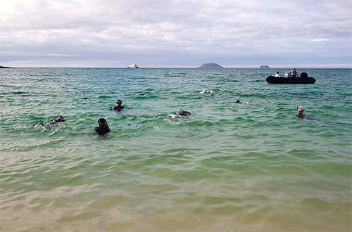 aqua-mare-galapagos-ecuador-snorkeling