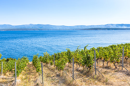 brac-island-croatia-shutterstock1046968495