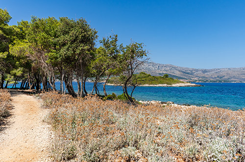 korcula-croatia-shutterstock2589461645