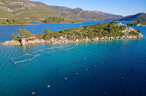 oyster-farm-mali-ston-peljesac-peninsula-croatia-shutterstock2261514535