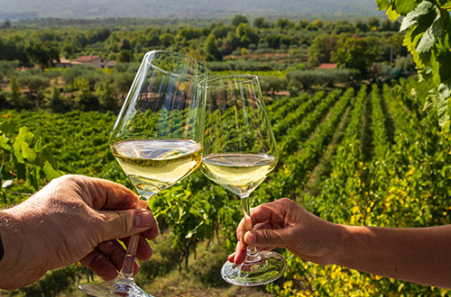 white-wine-shutterstock2602948719