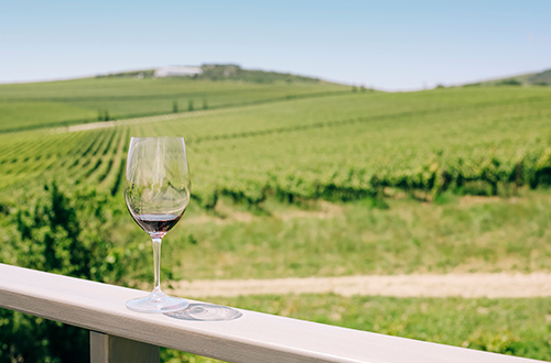 wine-testing-shutterstock2130448940