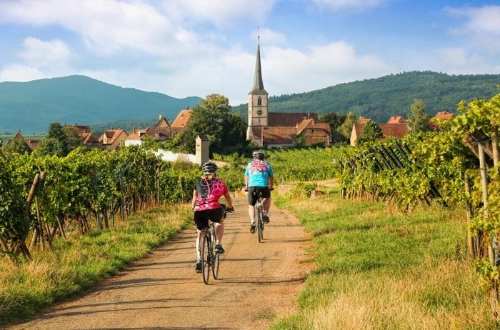bikers-vineyards-alsace-france