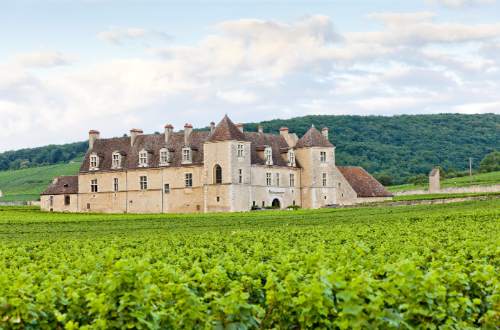 clos-blanc-de-vougeot-castle-vineyard-burgundy