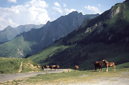 col-daubisque-hautes-pyrenees-occitanie-france-hor