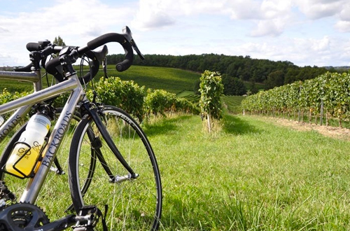 cycling-bordeaux-francee