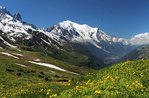 mont-blanc