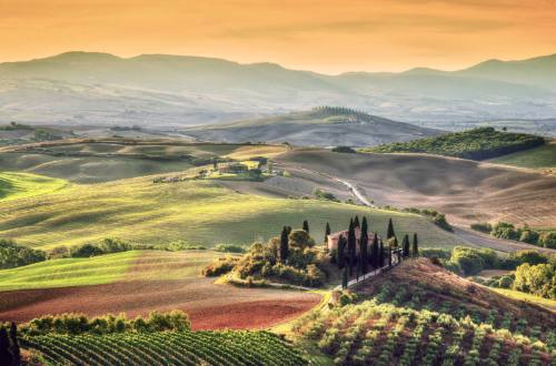 chianti-classico-vineyards-sunset-tuscany-italy