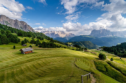 dolomites-field