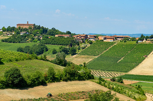 piedmont-italy-vineyards