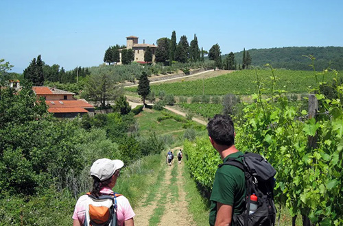 wine-tasting-walking-tuscany
