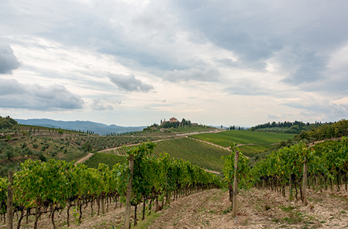 radda-chianti-siena-tuscany-italy-vineyards