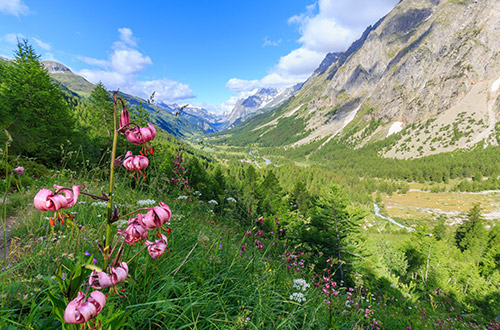 val-ferret-courmayeur-aosta-valley-italy