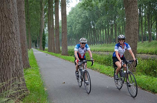 amsterdam-netherlands-forest-bike-ride