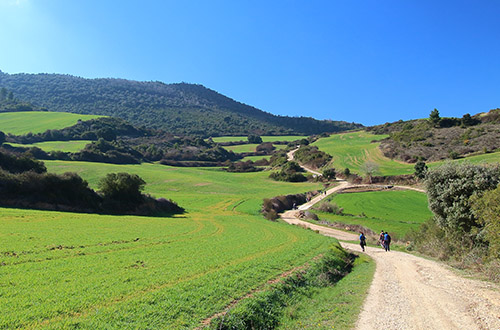 camino-de-santiago-navarra-pilgrims-walk