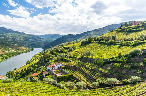 alto-douro-valley-portugal