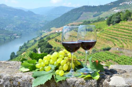 vinho-verde-green-wine-douro-valley-portugal