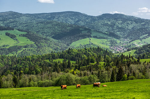 pieniny-mountains