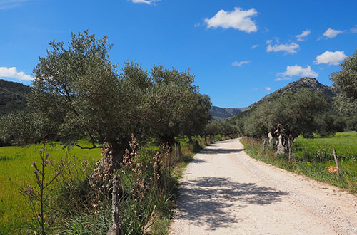 andalusia-dirt-road