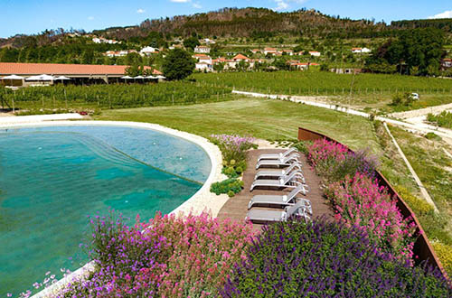 lavandeira-douro-nature-and-wellness-pool