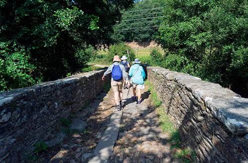 walkers-on-the-camino