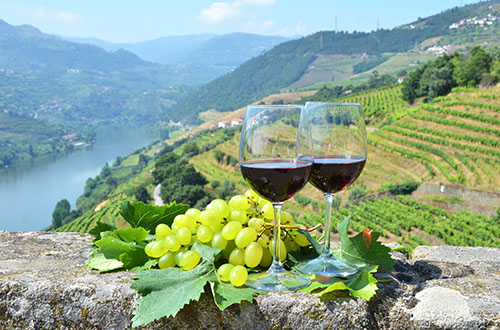 wine-tasting-douro-valley