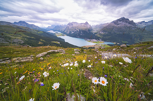 engadine-swiss-alps