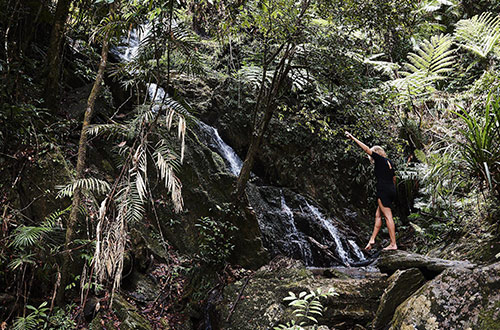 daintree-ecolodge-waterfalls