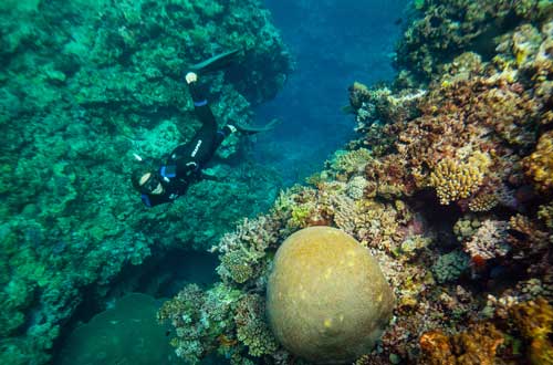 diving-kokomo-private-island-fiji