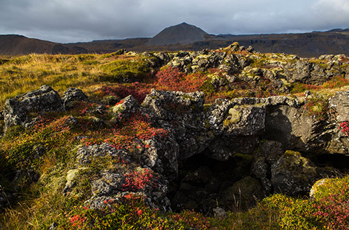 lava-fields-snaefellsnes-peninsula-budir-iceland
