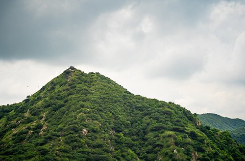 aravalli-hills-jaipur-rajasthan-india