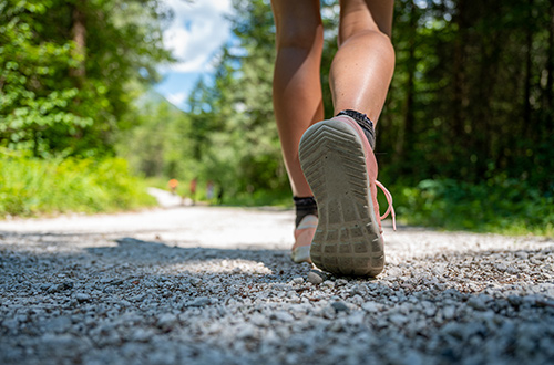 hiker