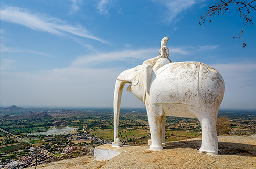 narlai-elephant-hill-rajasthan-india