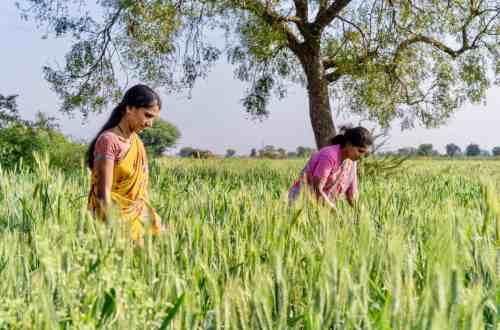 riverside-village-farmers-india