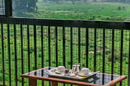 terrace-tea-jungle-park-resort-thekkady-india