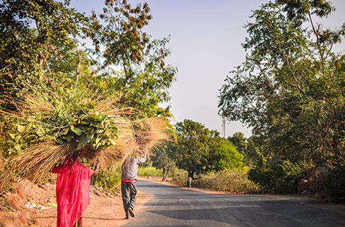 village-couple-carrying-grass-head-jaipur-rajasthan-india