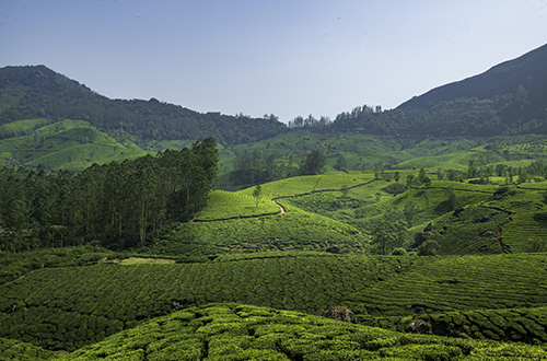 western-ghats-kerala-india