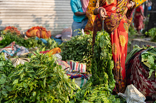 woman-selling-curry-leaves-street-market-tamil-nadu-india