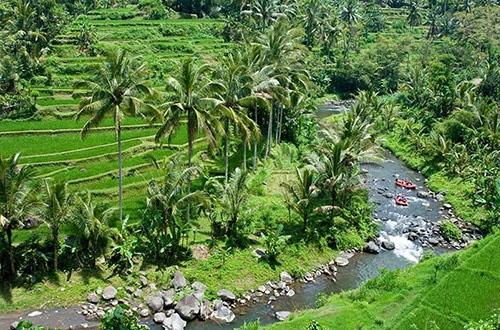ayung-river-bali-indonesia-water-rafting