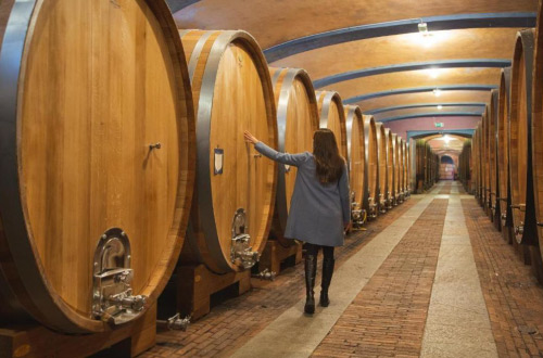 Hotel-Le-Case-dei-Conti-Mirafiore-Cellar