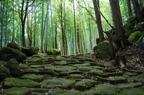 Matsumoto-toge Pass