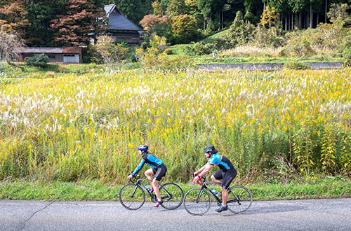 bikers-fields-japan