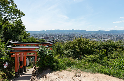 fushimi-inari-taisha-kyoto-japan-hill