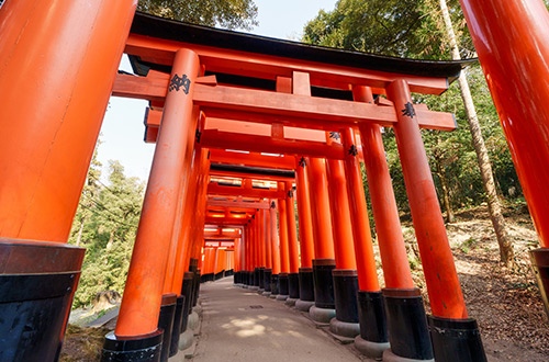 fushimi-inari-taisha-kyoto-japan-view