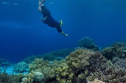 man-snorkeling-maug-islands-mariana-islands