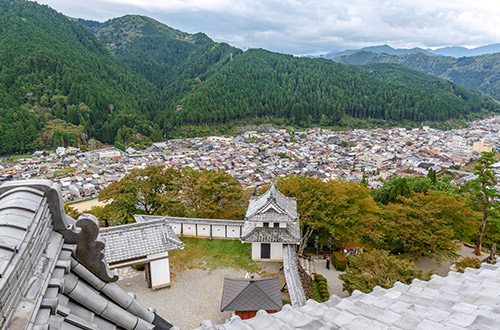 gujo-hachiman-castle-gujo-gifu-japan-aerial-view