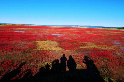 Lake-Notoro-Abashiri