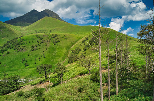 mount-yufu-yufuin-oita-japan